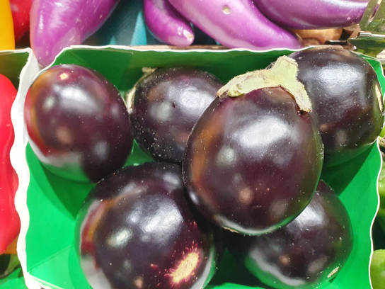 Mini aubergine