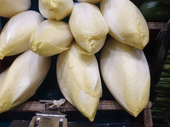 Endives Belges pleine terre
