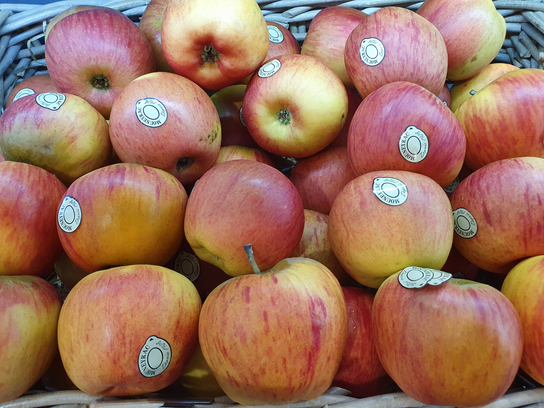 Pommes Reinette