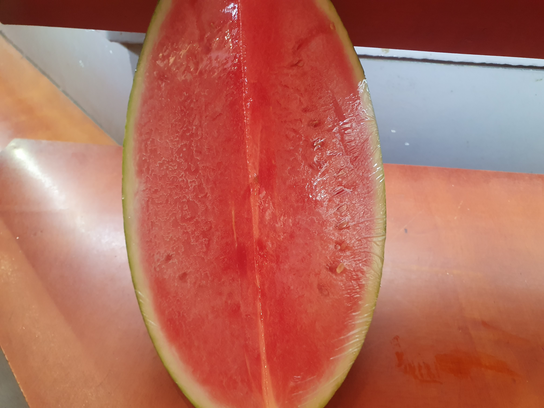 Pastèque