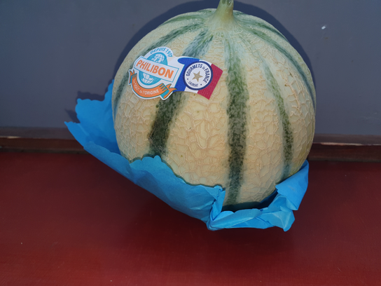 Melon Espagne