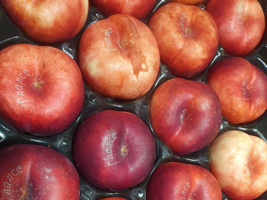 Nectarines plates