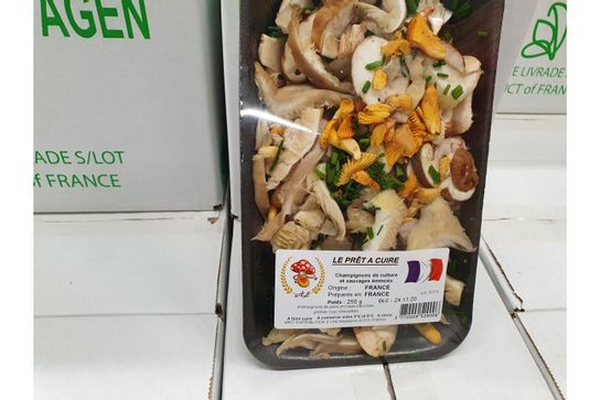 Champignon mélange de culture