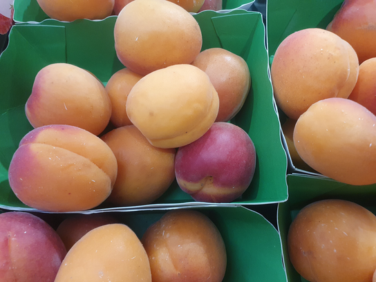 Abricots petit