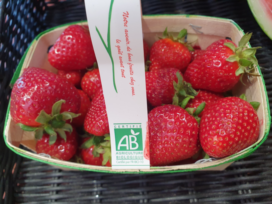 Fraise clery bio
