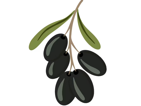 NOUVEAU - PLANCHE PASCOLI -