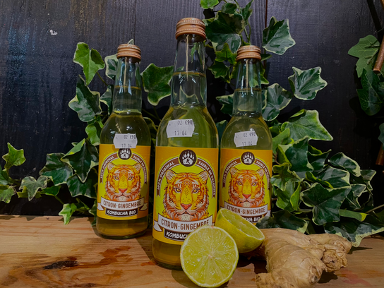 Kombucha bio citron, gingembre