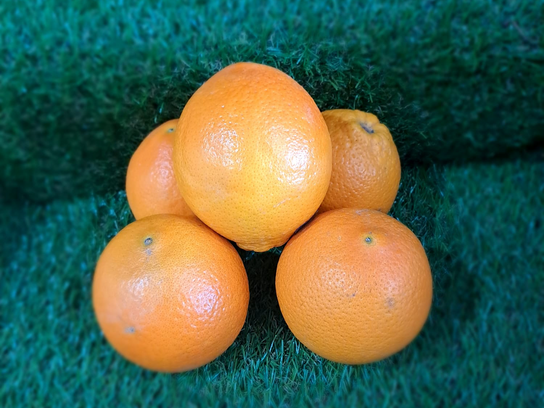 Oranges de table