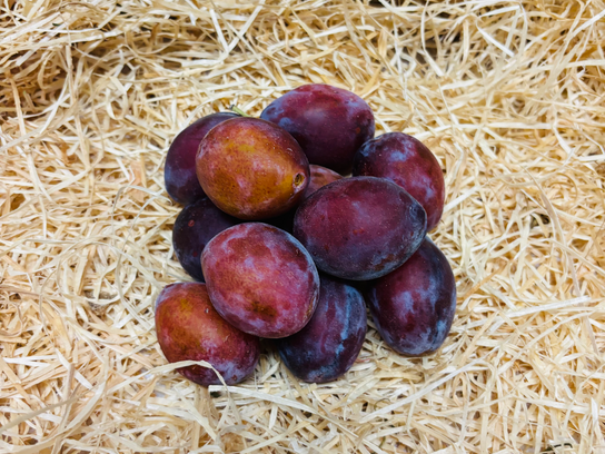 Quetsches