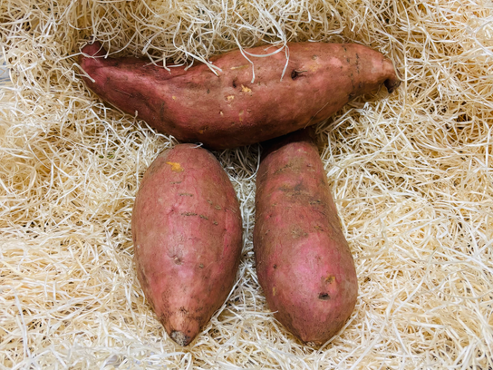 Patate douce