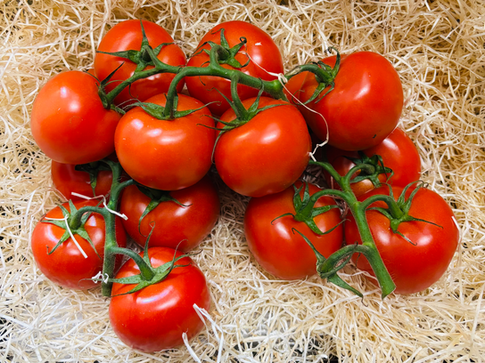 Tomates grappe