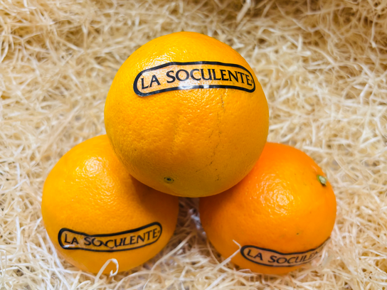 Orange soculente