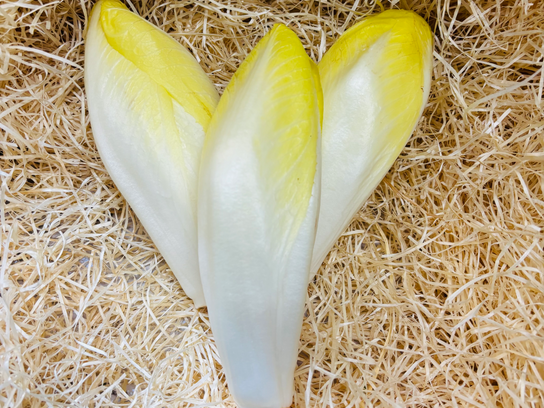 Endive