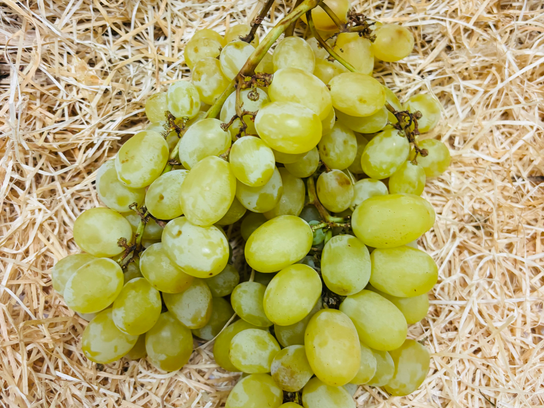 Raisins blanc  italia