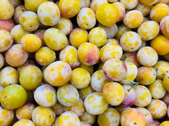 Mirabelles