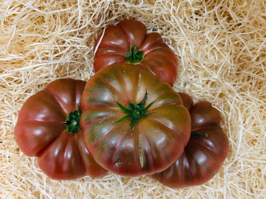 Tomates noires de Crimée