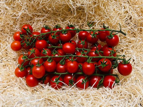 Tomates cerises