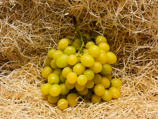 Raisin blanc sans pépins