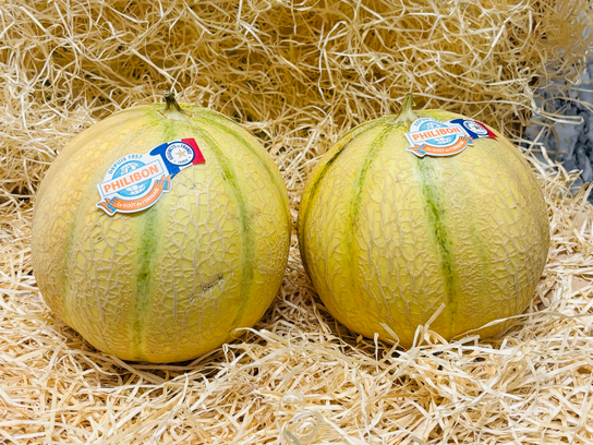 Melon Philibon