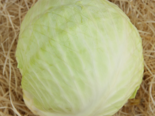 Chou Blanc