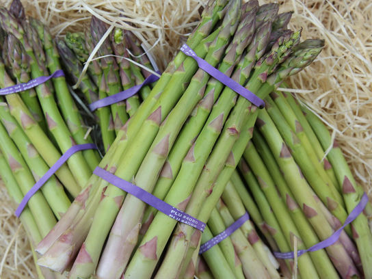 Asperges vertes botte