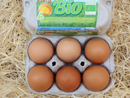 Œufs - BIO