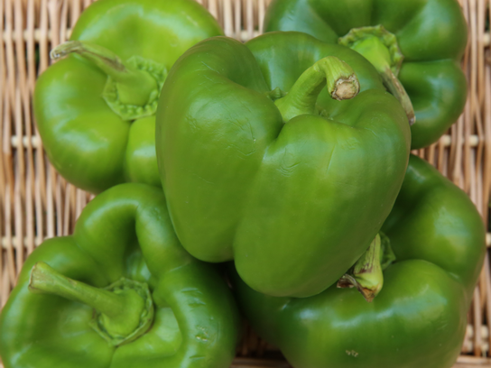 Poivrons verts