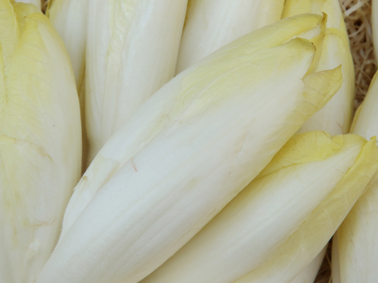 Endives