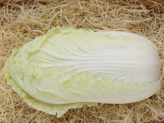 Chou chinois - Pé-Tsaï