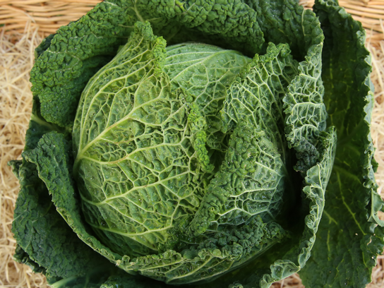 Chou vert