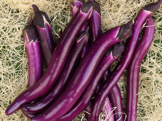 Aubergine chinoise