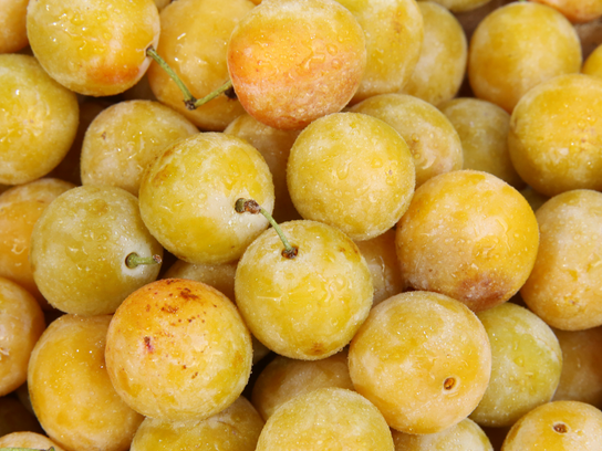 Mirabelles
