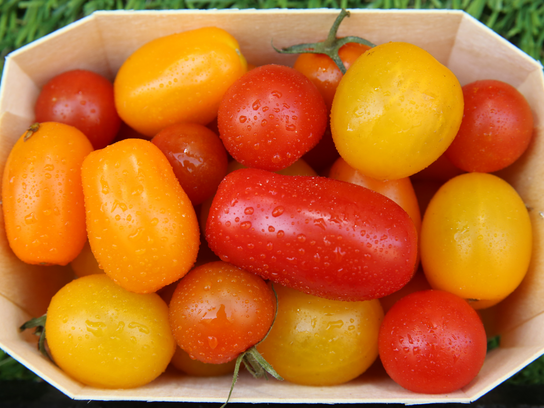 Tomates cerises colorées