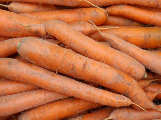 Carottes des sables