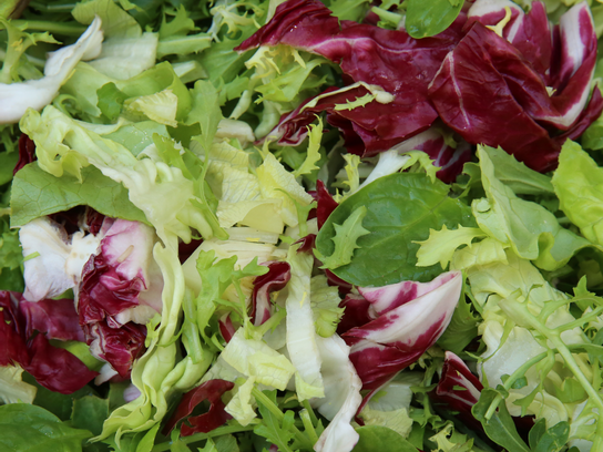 Mesclun