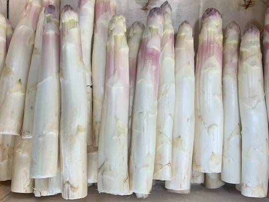 Asperges blanches gros calibre