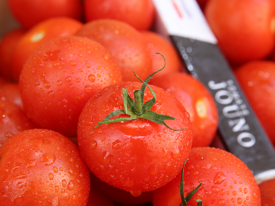 Tomates Jouno