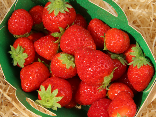 Fraises Mara des bois