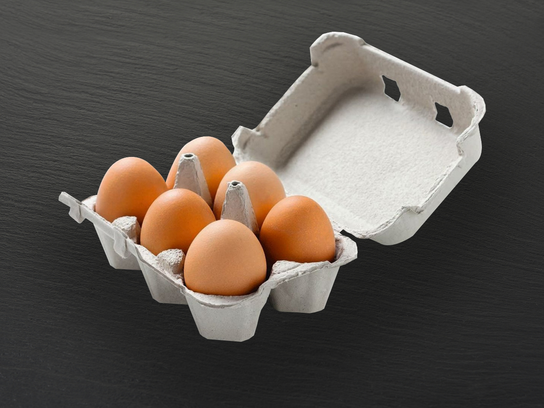 Oeufs de poule plein air
