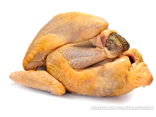 Cuisse de pintade