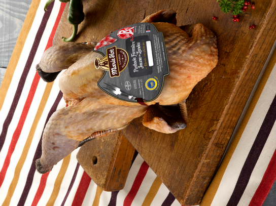 Pintade fermière effilée