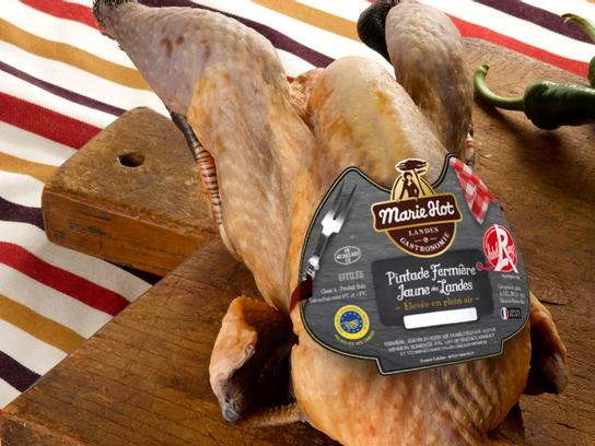 Pintade fermière effilée