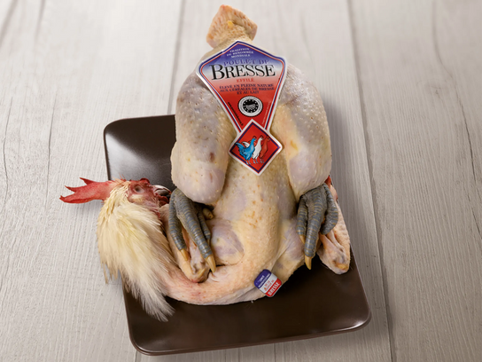 Poulet de bresse effilé