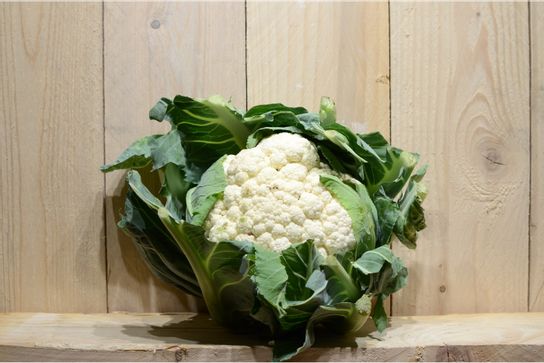 Mini chou fleur