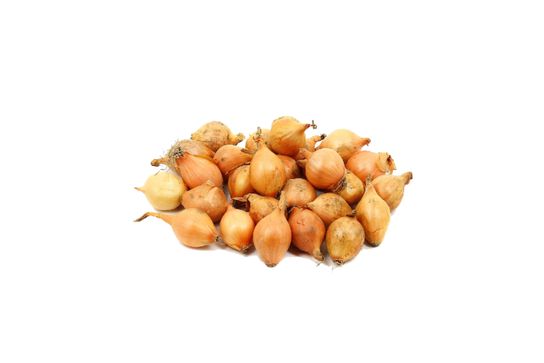 Oignons grelots