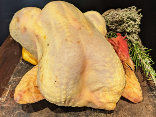 Le poulet jaune fermier des Landes élevé 110 jours