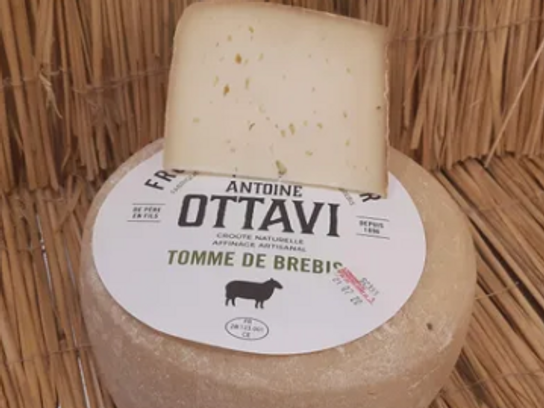 Tomme de brebis Corse