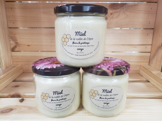 Miel de printemps 500g