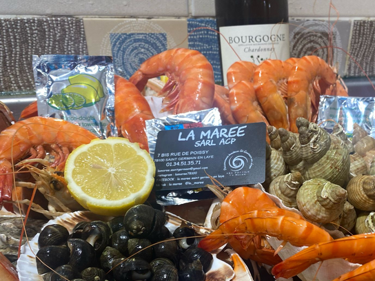 Assiette de la mer - Iodée