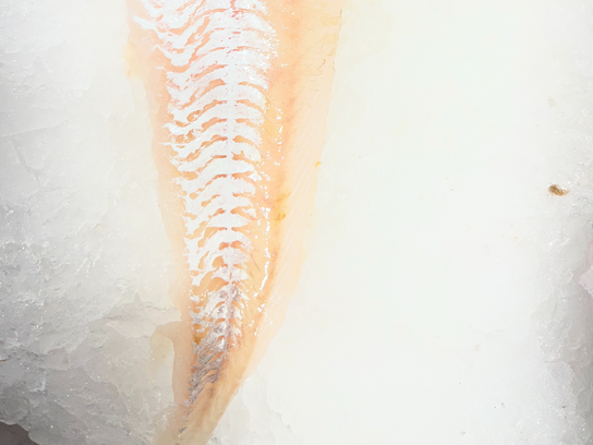 Filet de merlan